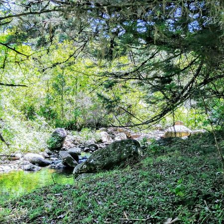 Cabana Mountain View Ερέδια Εξωτερικό φωτογραφία