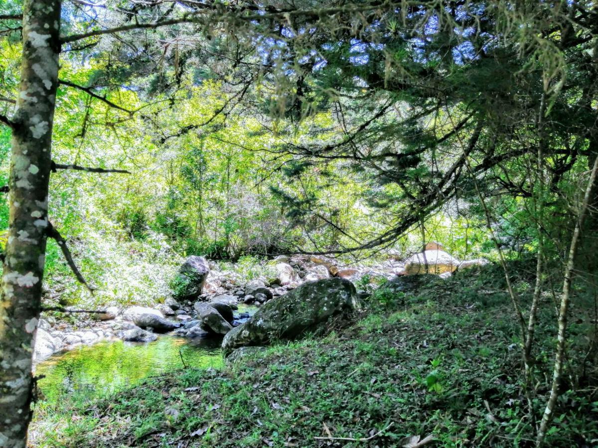 Cabana Mountain View Ερέδια Εξωτερικό φωτογραφία